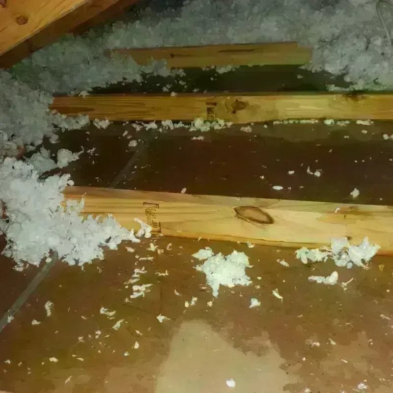 Attic Water Damage in North Fond du Lac, WI