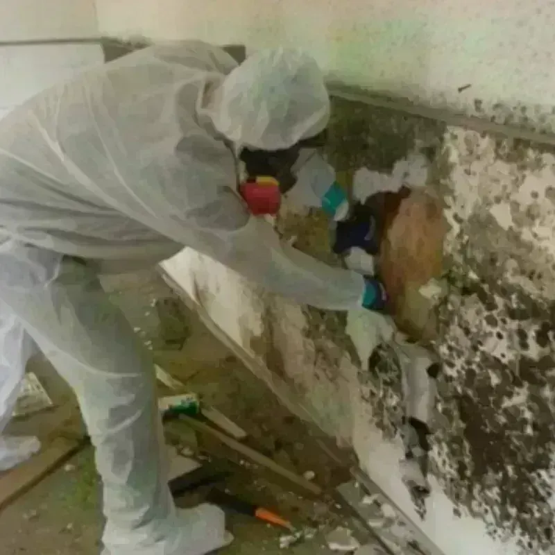 Mold Remediation and Removal in North Fond du Lac, WI