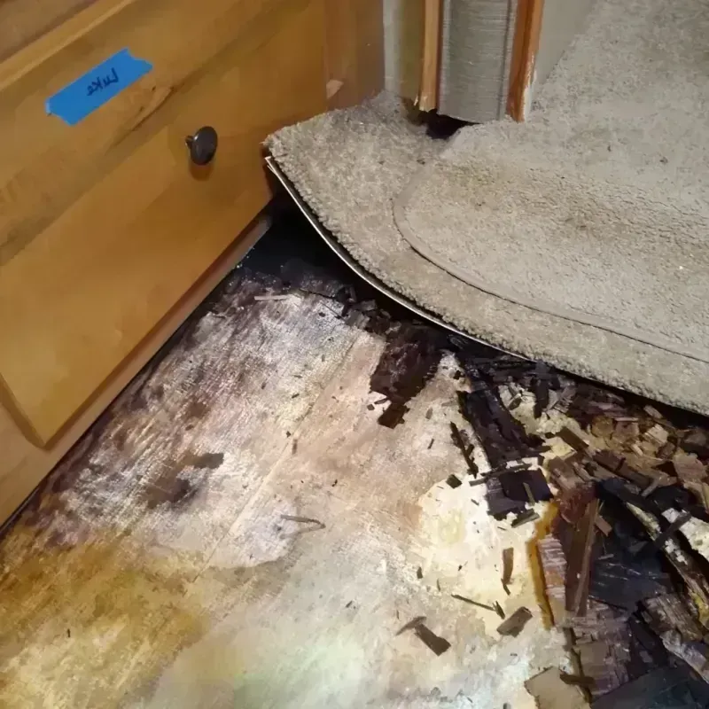 Wood Floor Water Damage in North Fond du Lac, WI